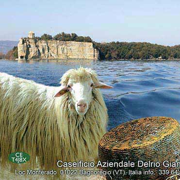 stefano-orlandini-thumb-grafica