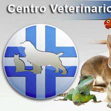 stefano-orlandini-thumb-grafica